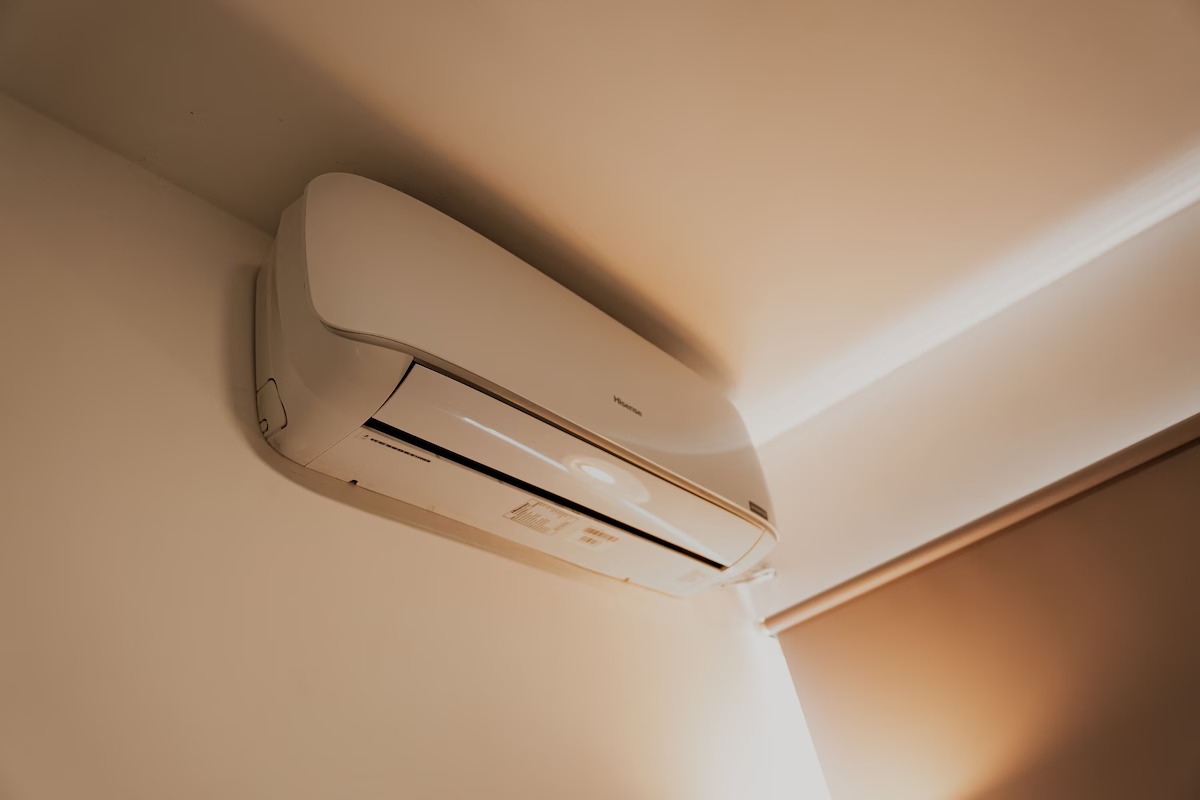 imgi_203_6d639cd9-e6f0-4b76-aa0b-349f8c0c5025